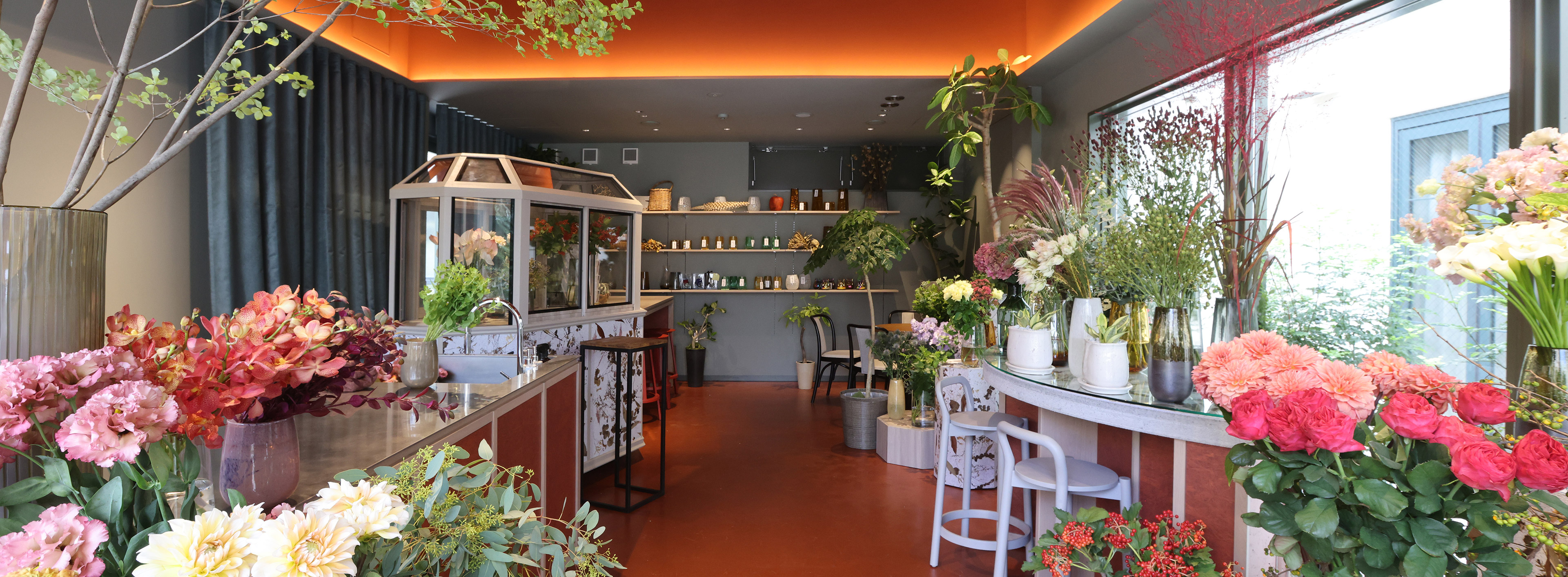 CQ Decoration Hanahiro